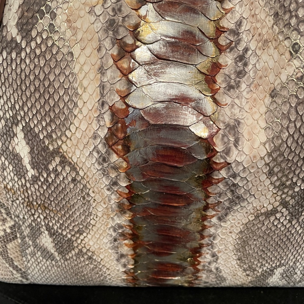 Cristina Sabatini Valentina Iridescent Python Bag